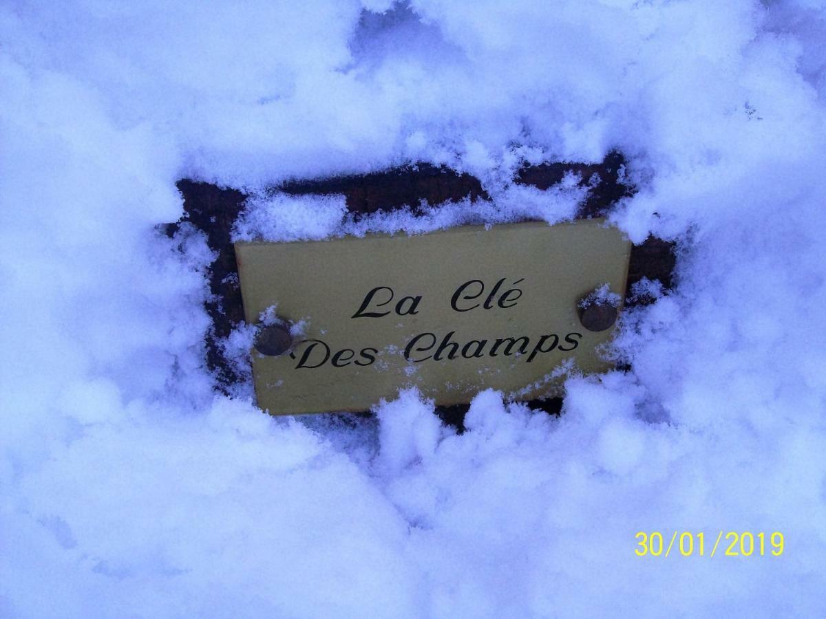Вілла La Cle Des Champs Longueval Екстер'єр фото